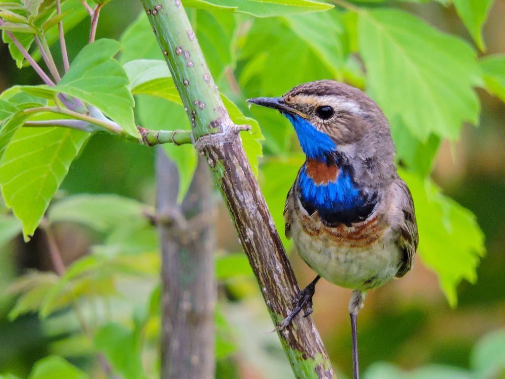 Photograph by Игорь Степанов
