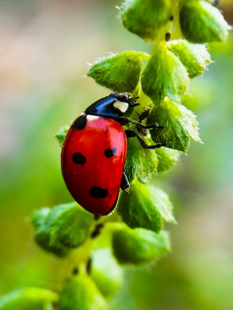 Photograph by Гонтарь Александра
