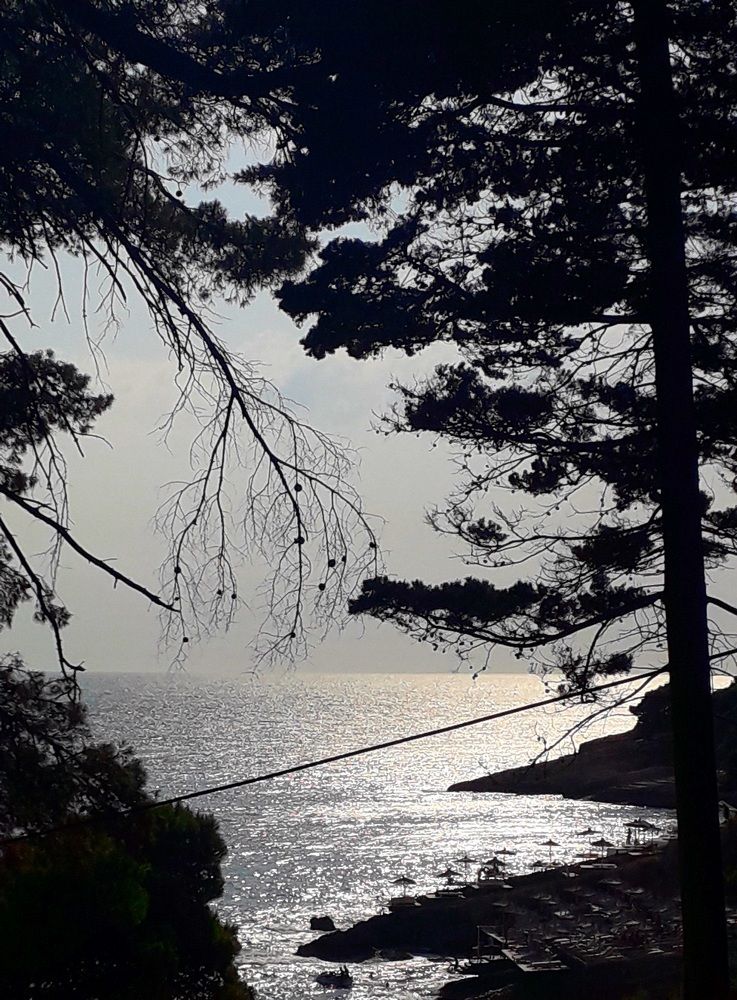 Photograph by Dafinka Sokoloska