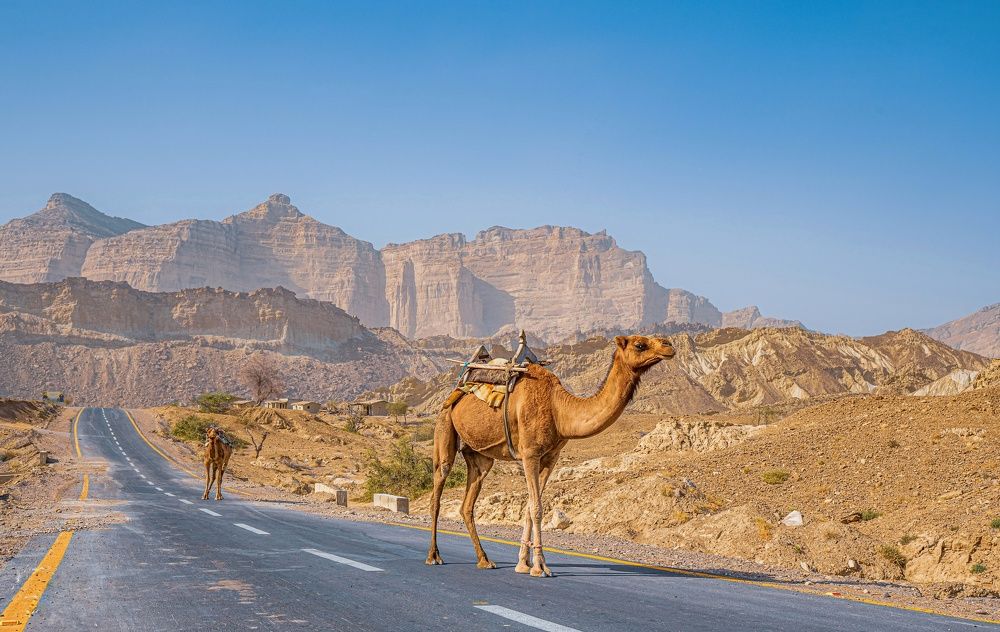 Photograph by Haseem jan