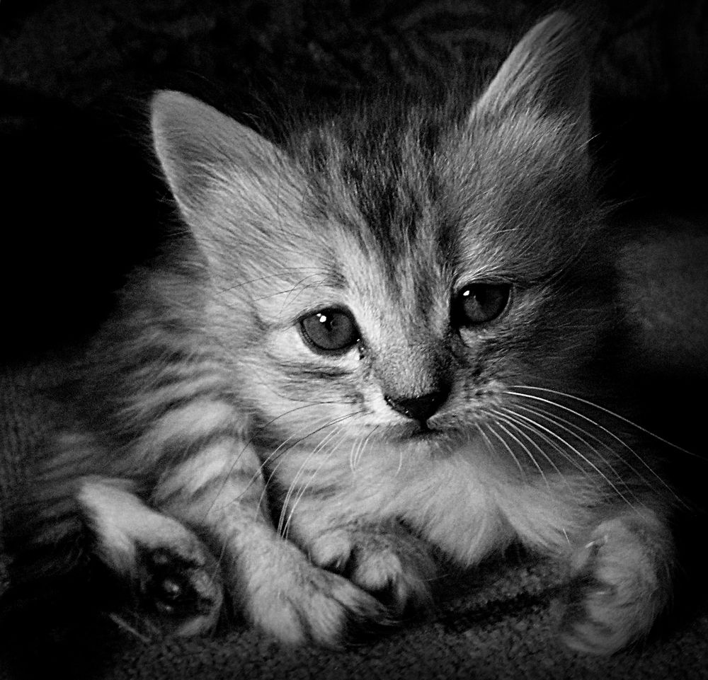 Photograph by Зоя Быкова