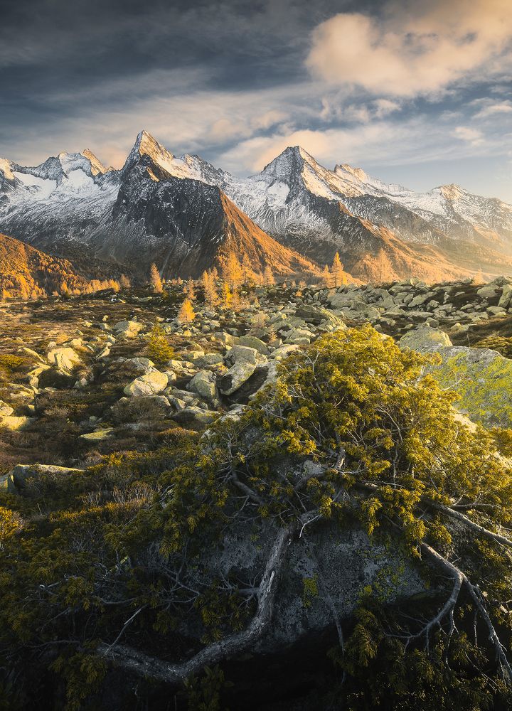 Photograph by Roksolyana Hilevych