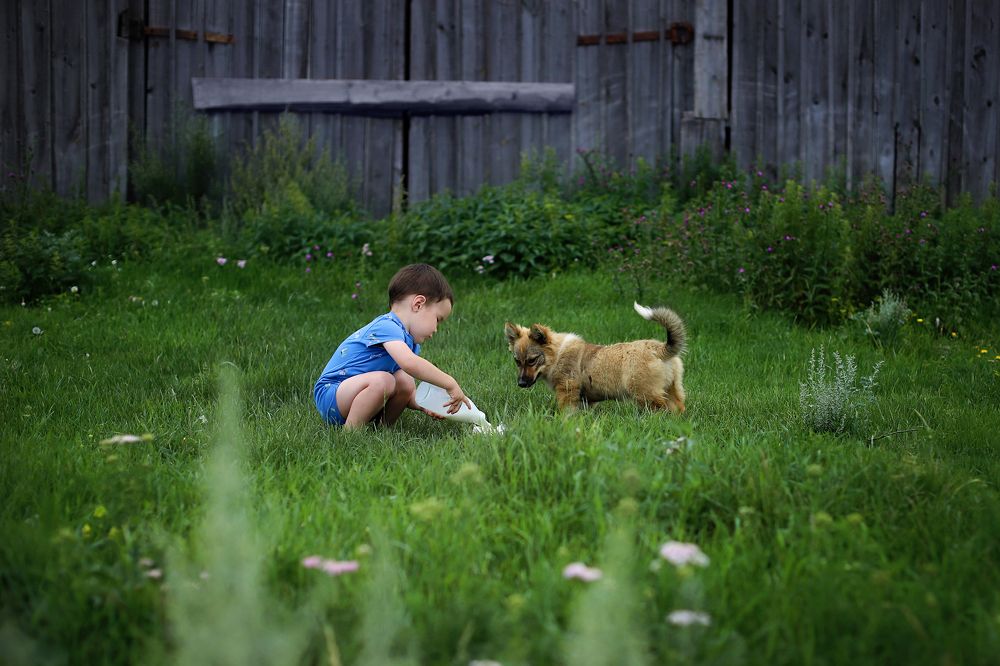 Photograph by Ванюкова