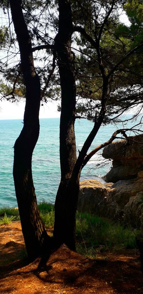 Photograph by Dafinka Sokoloska