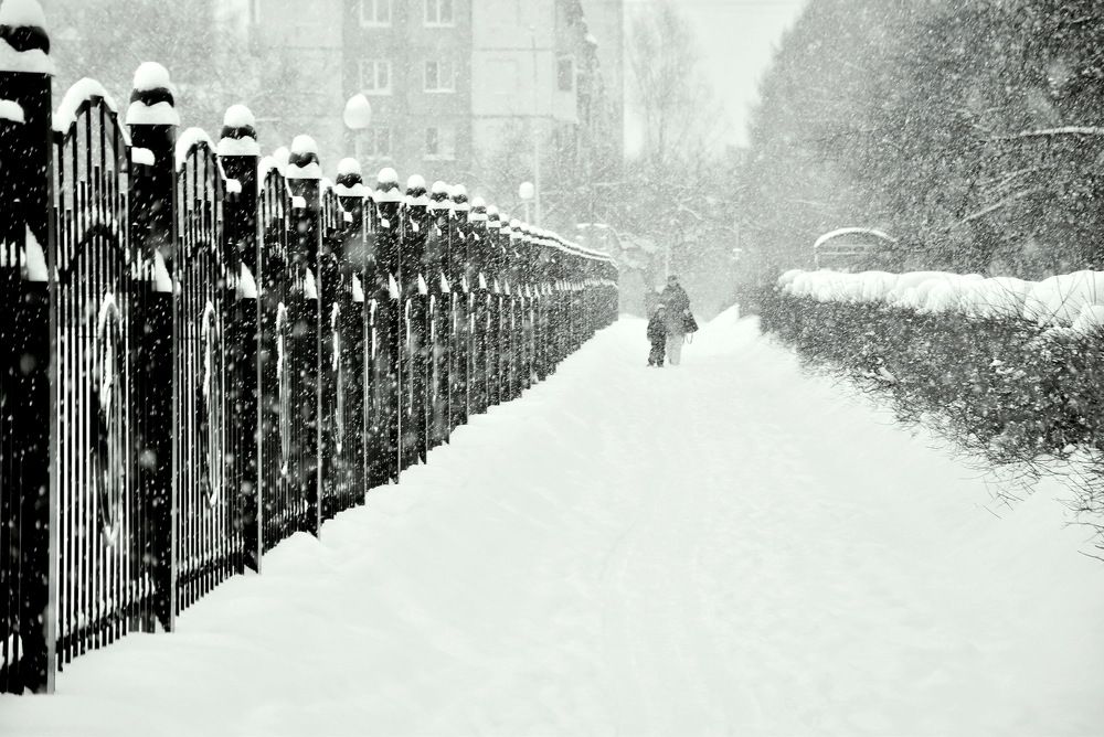 Photograph by НИНА АВЕРЬЯНОВА