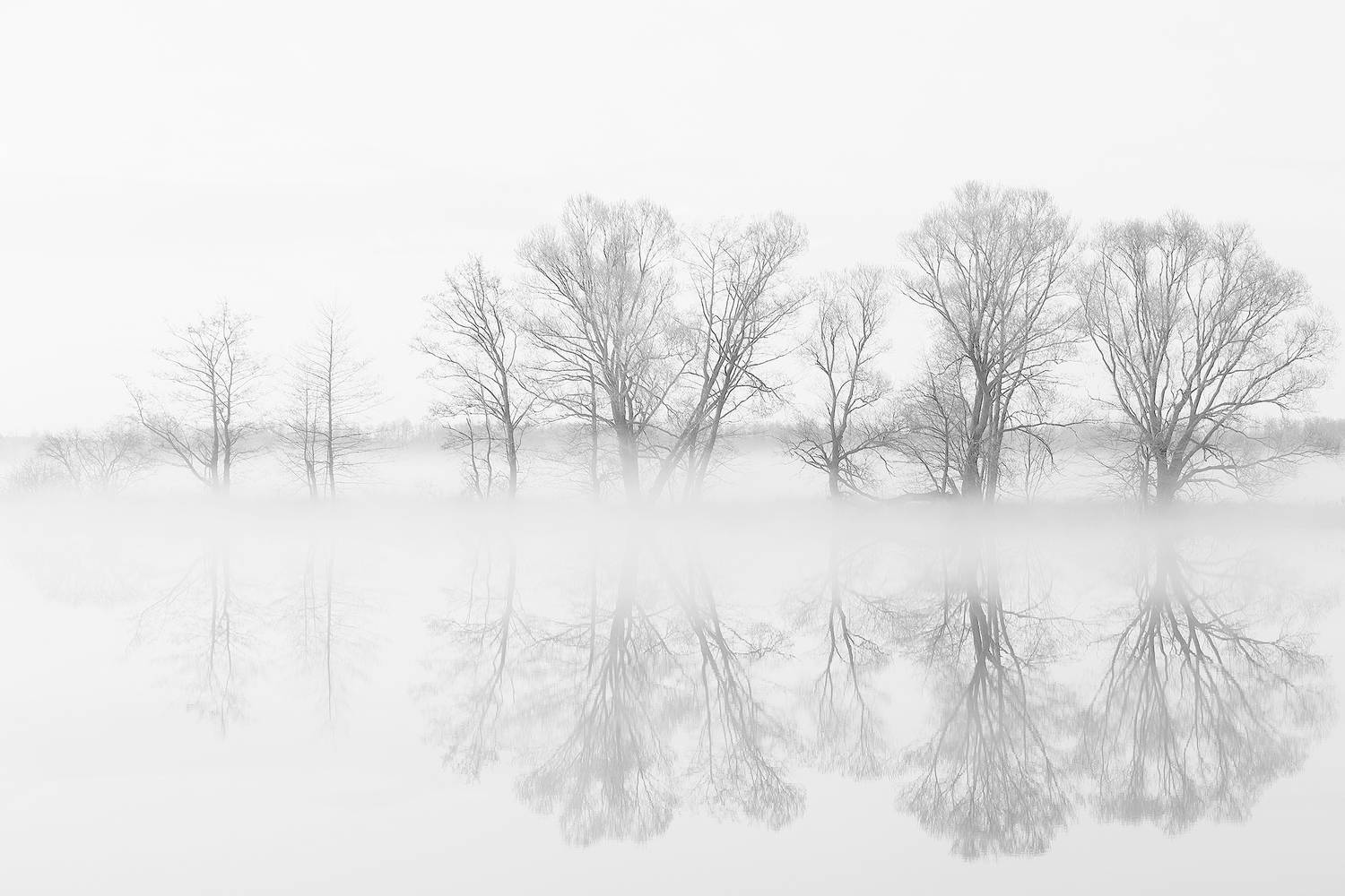 Фотография #7369119