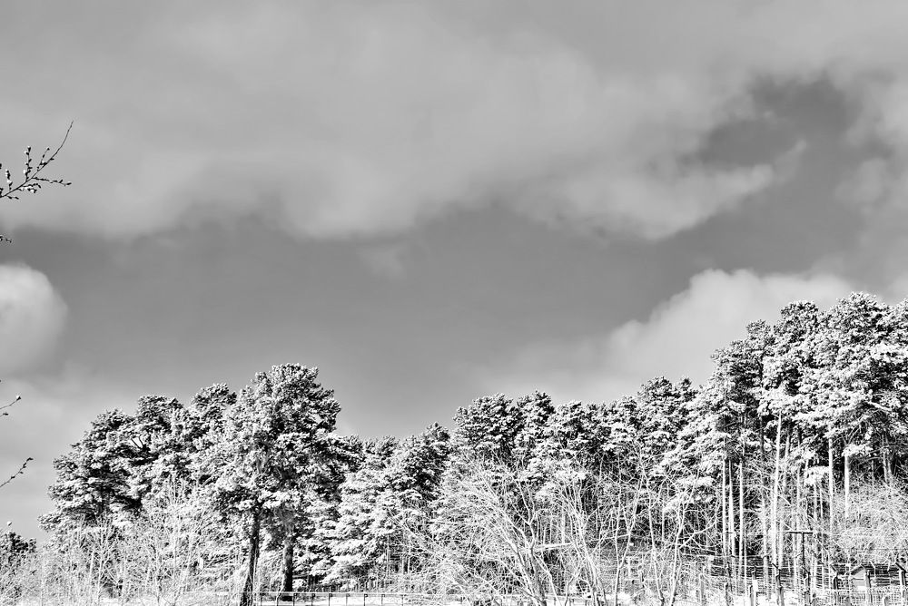 Photograph by НИНА АВЕРЬЯНОВА