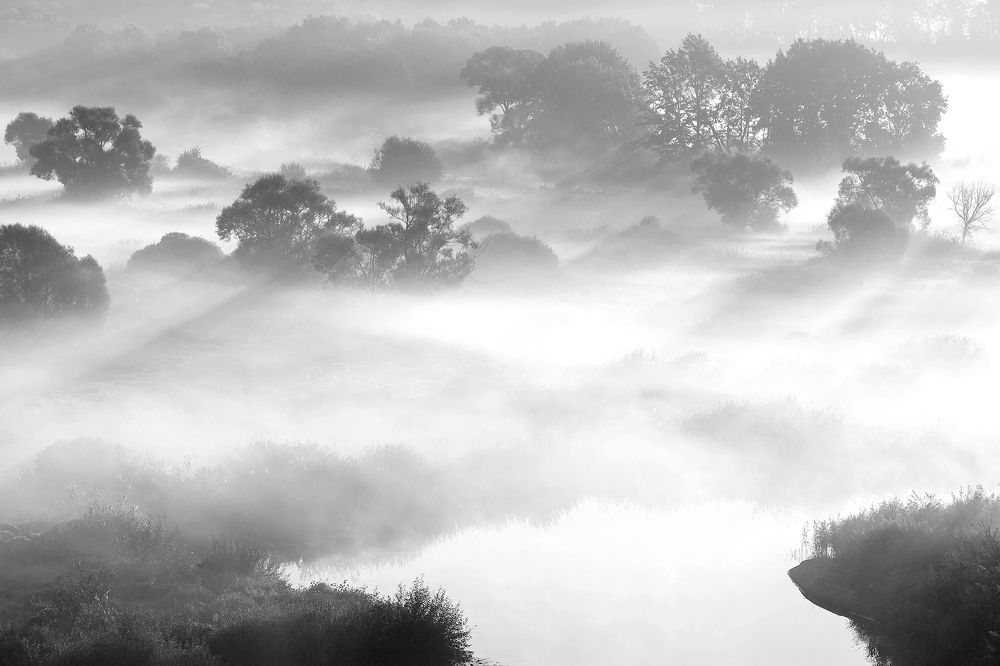 Фотография автора Юрий Сорокин