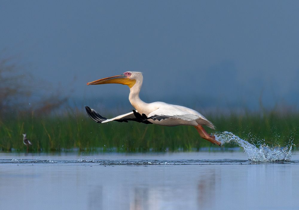 Photograph by Bibhas Deb