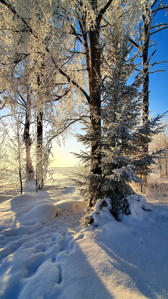 Фотография автора Сергей Скворцов