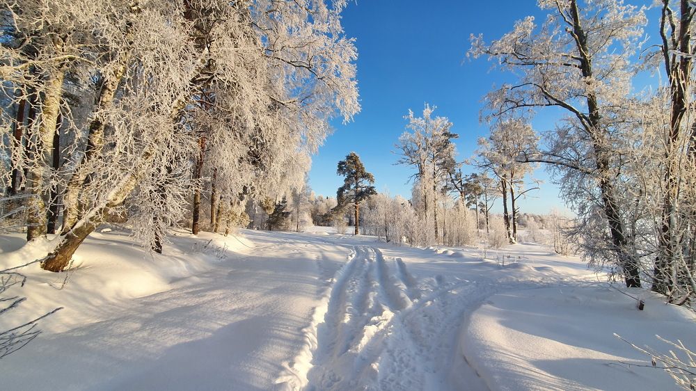 Фотография автора Сергей Скворцов