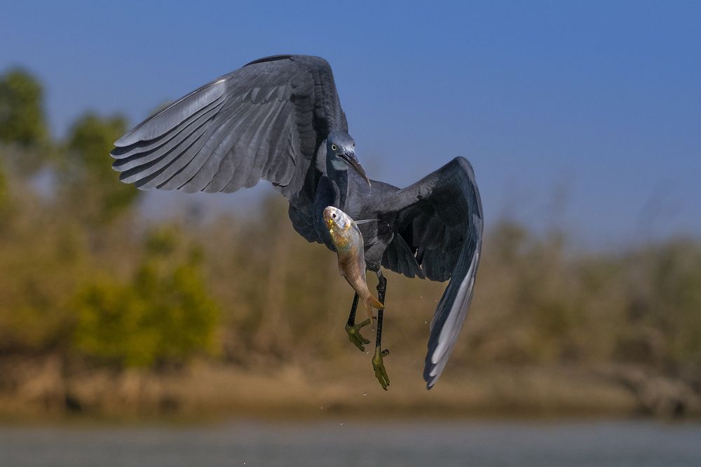 Photograph by Mehdi Dorostkar