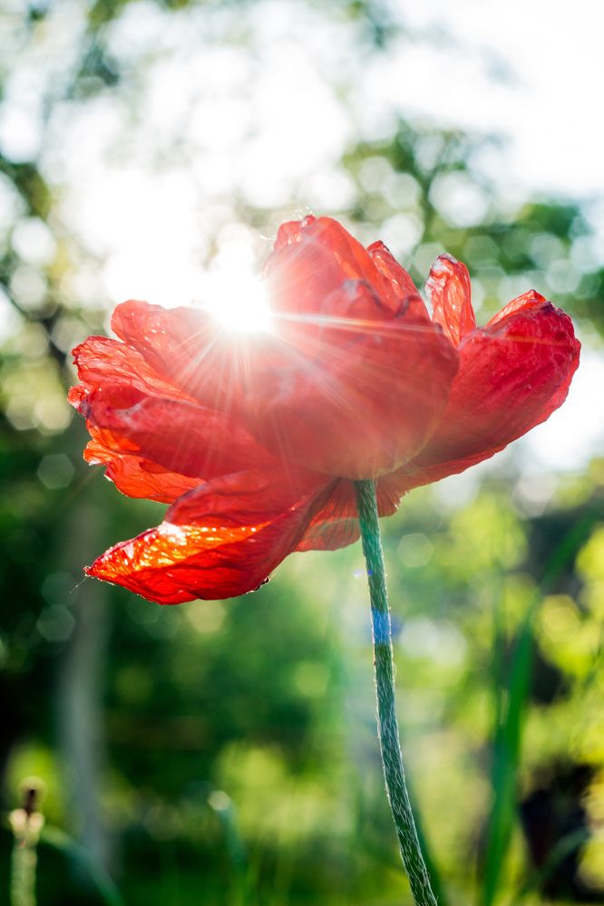 За закатом всегда будет рассвет