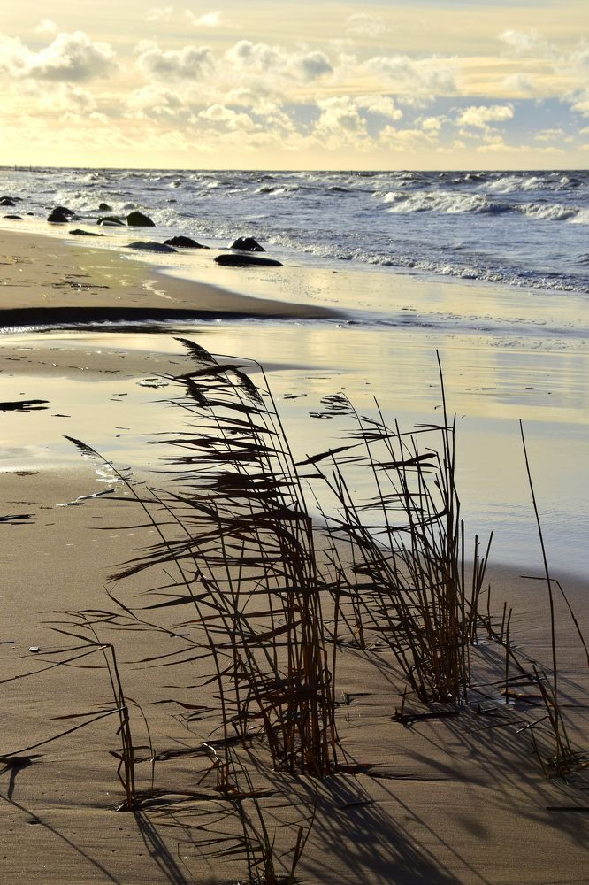 Photograph by Andris Vetra