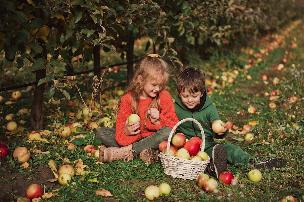 Photograph by Алена Пшеничная