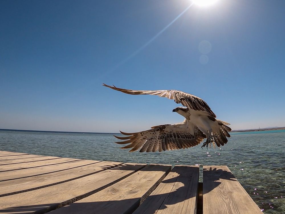 Photograph by Валентин Авдашев