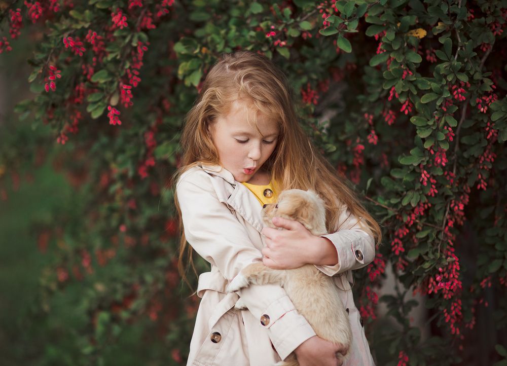 Photograph by Алена Пшеничная