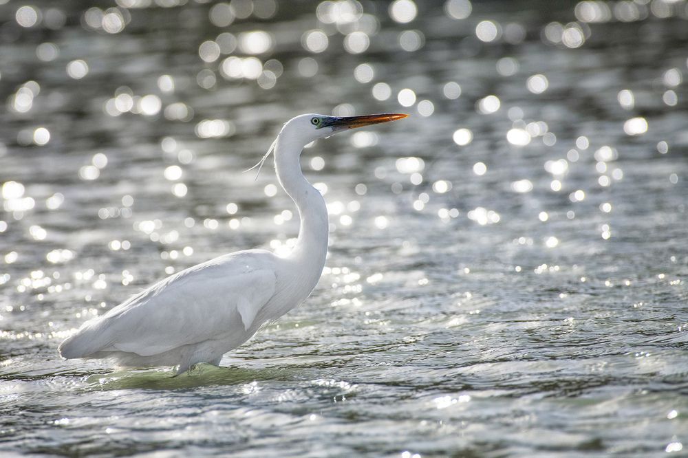 Photograph by Mehdi Dorostkar