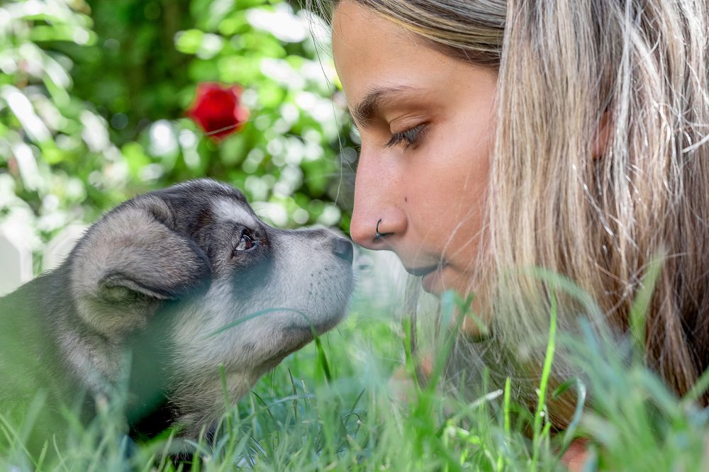 Фотография автора Alicia Mate