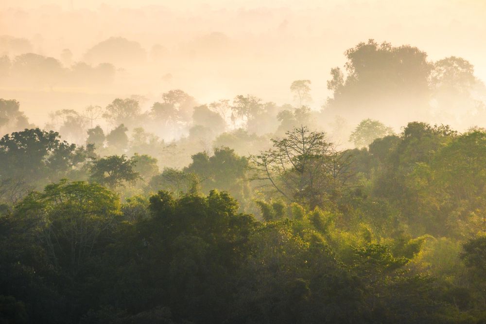 Photograph by Saheli Basak