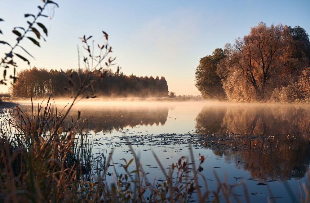 Photograph by Сергей Ветошкин