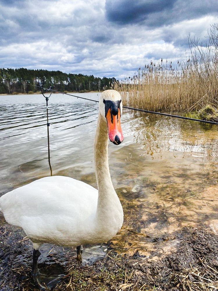 Photograph by Alesia Kurakevich