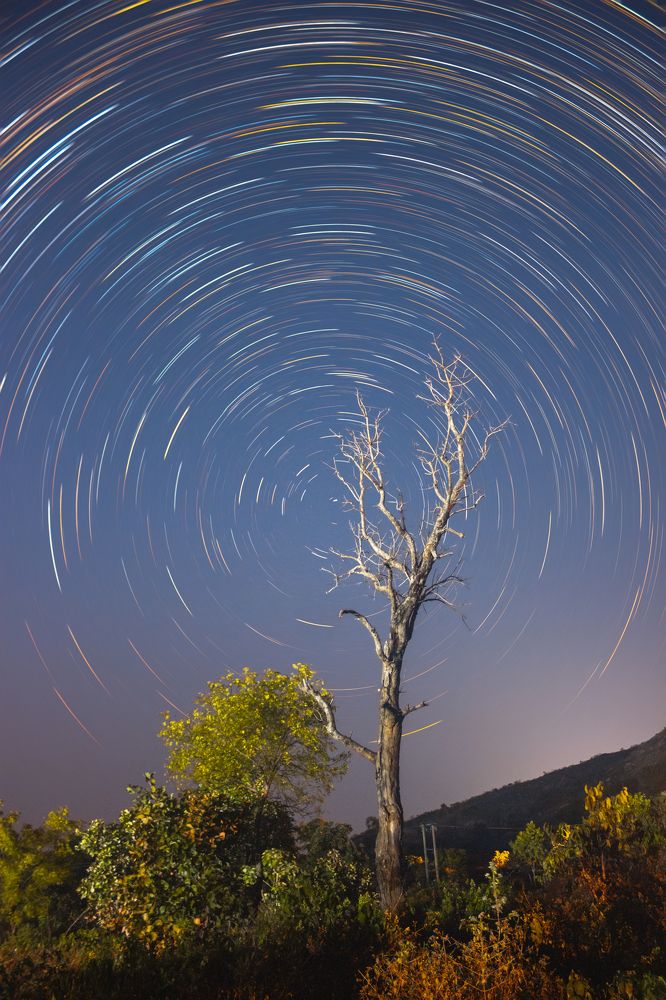 Photograph by Saheli Basak