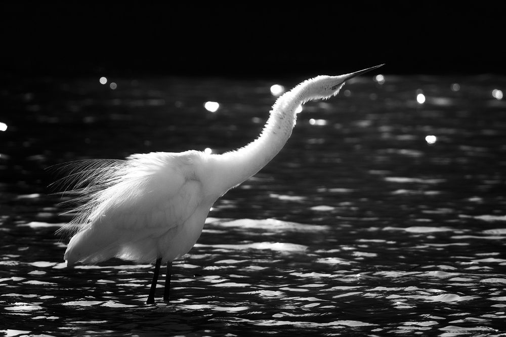 Photograph by Mehdi Dorostkar