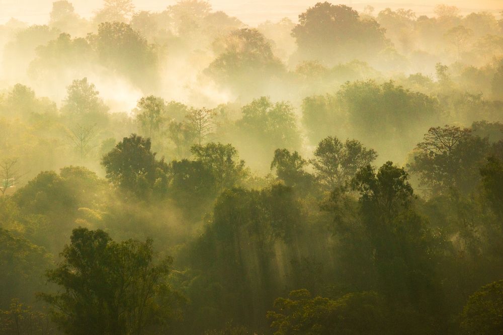 Photograph by Saheli Basak