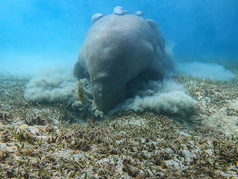 Photograph by Валентин Авдашев