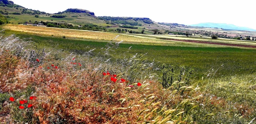 Photograph by Dafinka Sokoloska