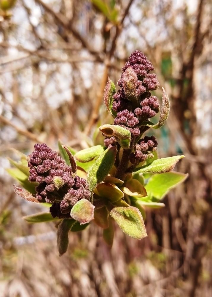 Photograph by Татьяна