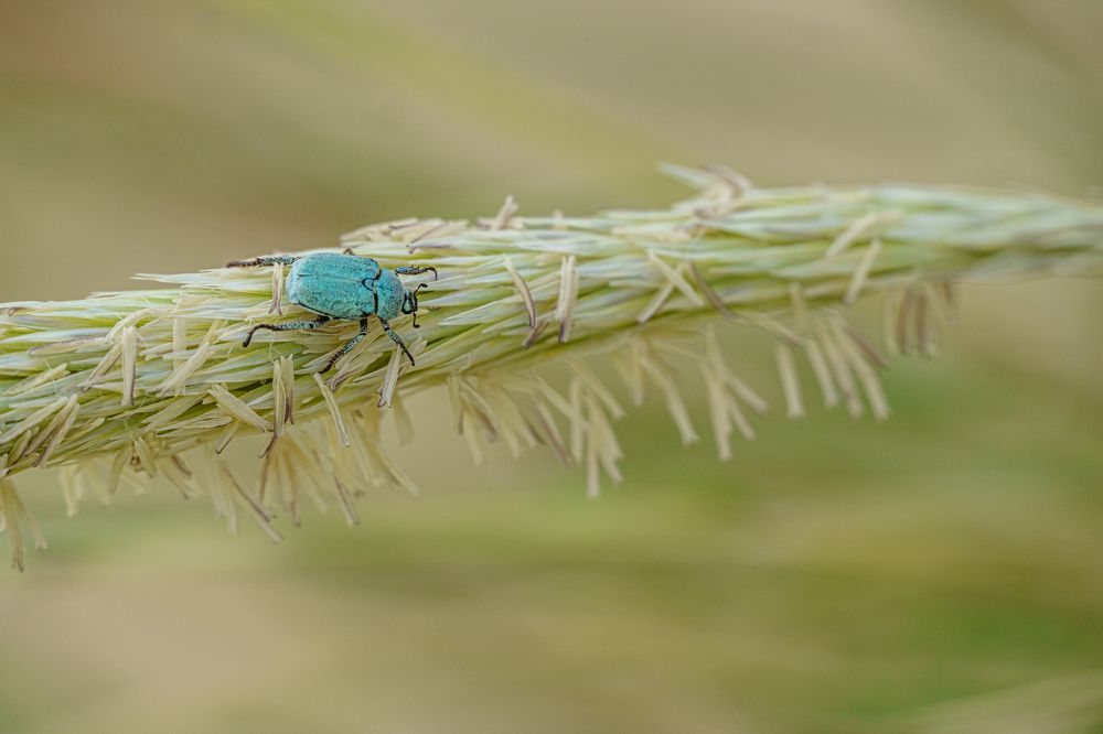 Photograph by Valdis Serzhans