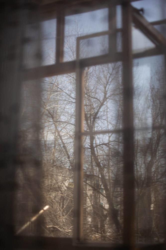 Photograph by Елена Клочкова