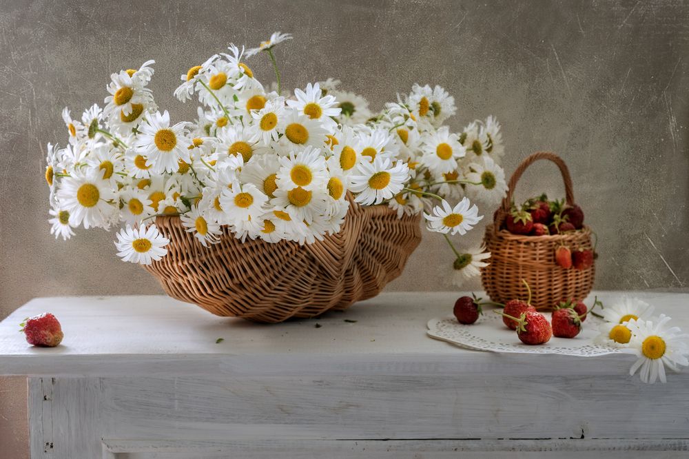 Photograph by Елизавета Шавардина