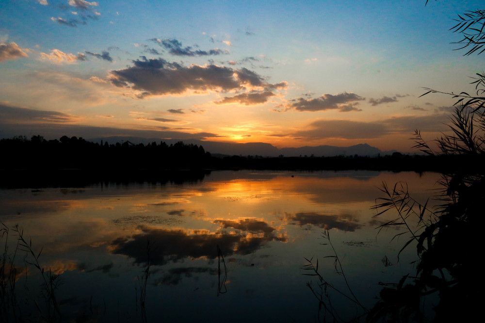 Photograph by Fatemeh Dashti Ardakani