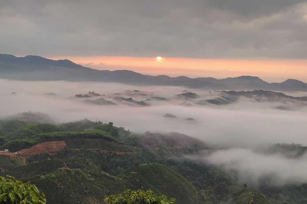 Photograph by Tran Minh Dung