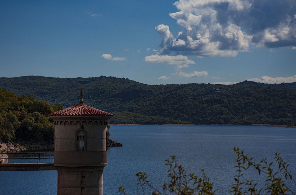 Photograph by Sandra Arena