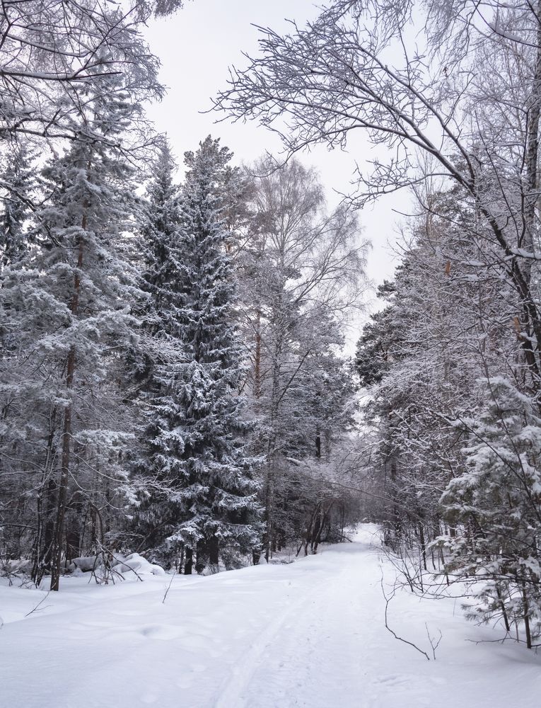 Photograph by Михаил Бирюков