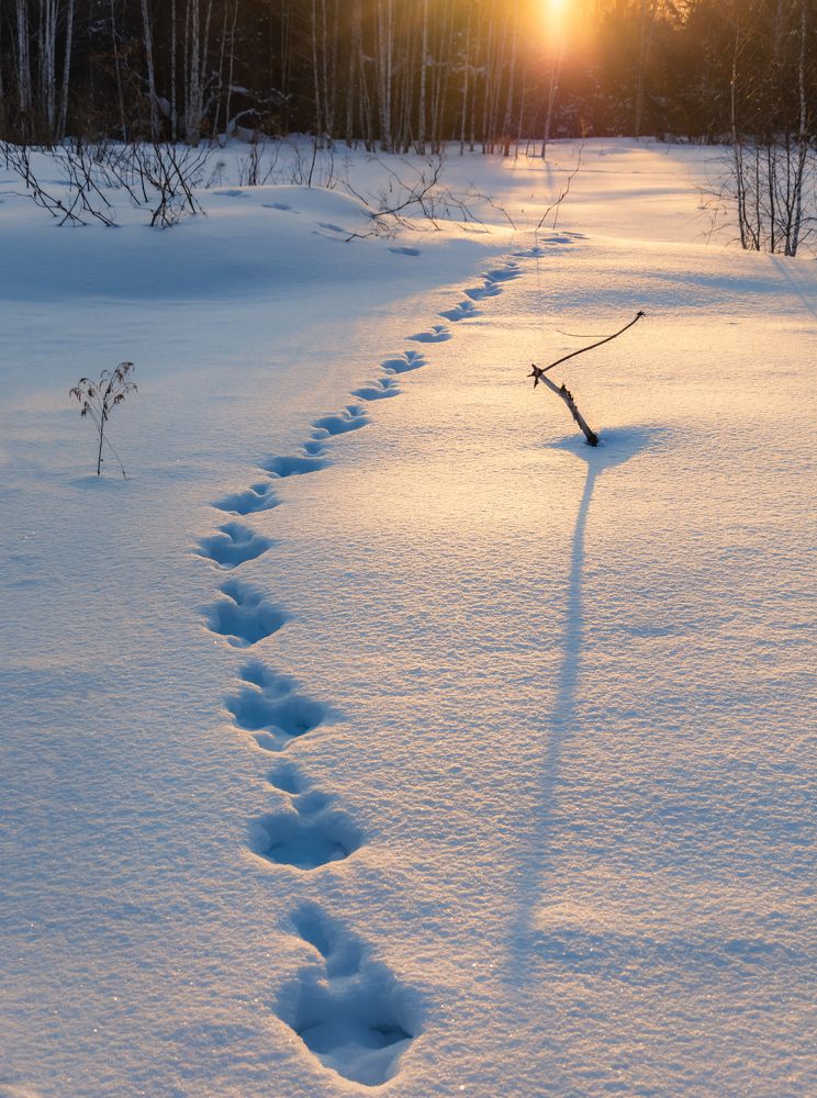 Photograph by Михаил Бирюков