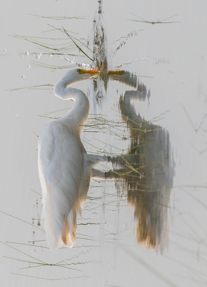 Photograph by Sudara Sansali De Silva