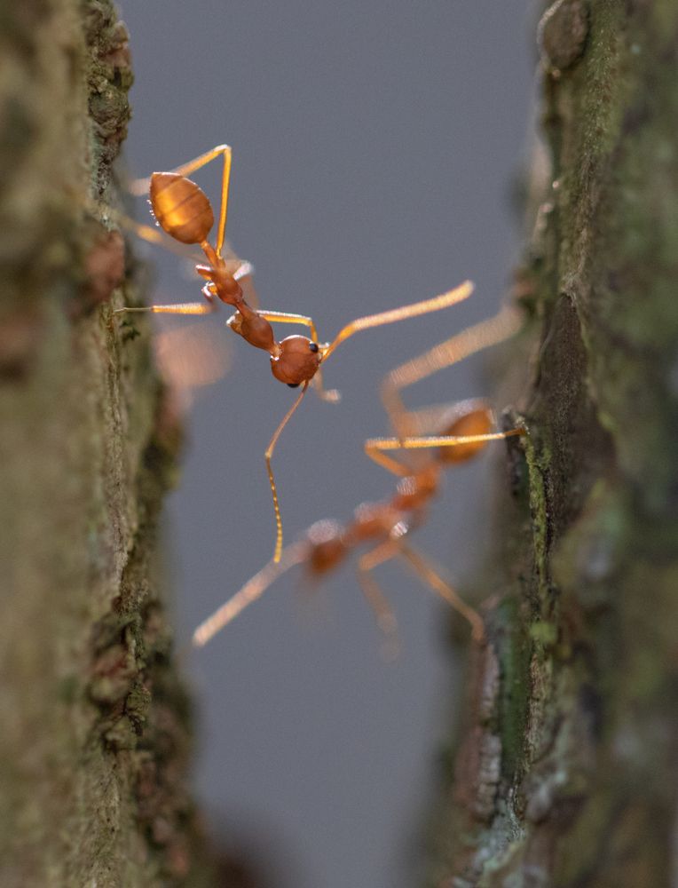 Photograph by Sudara Sansali De Silva