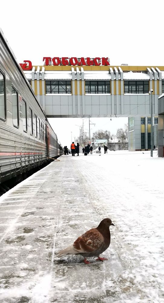 Фотография автора Maria Chernitsa