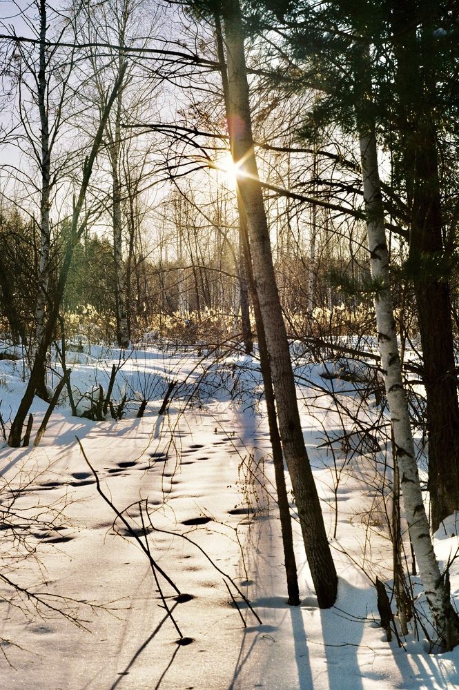 Photograph by Олег Леонтьев