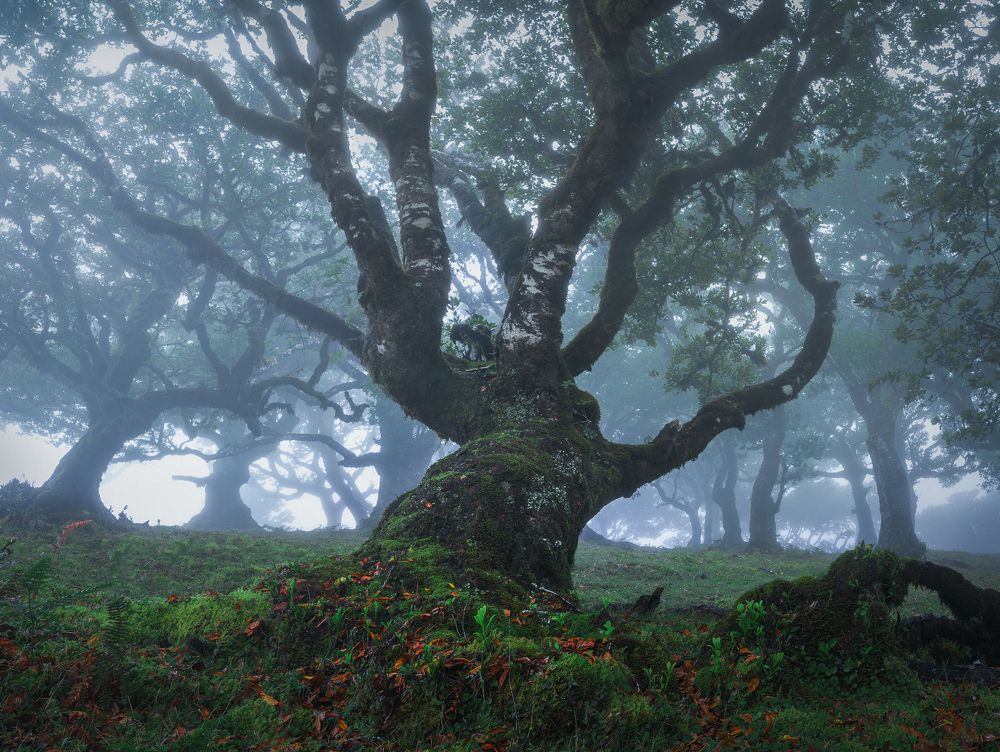 Photograph by Stefano Balma