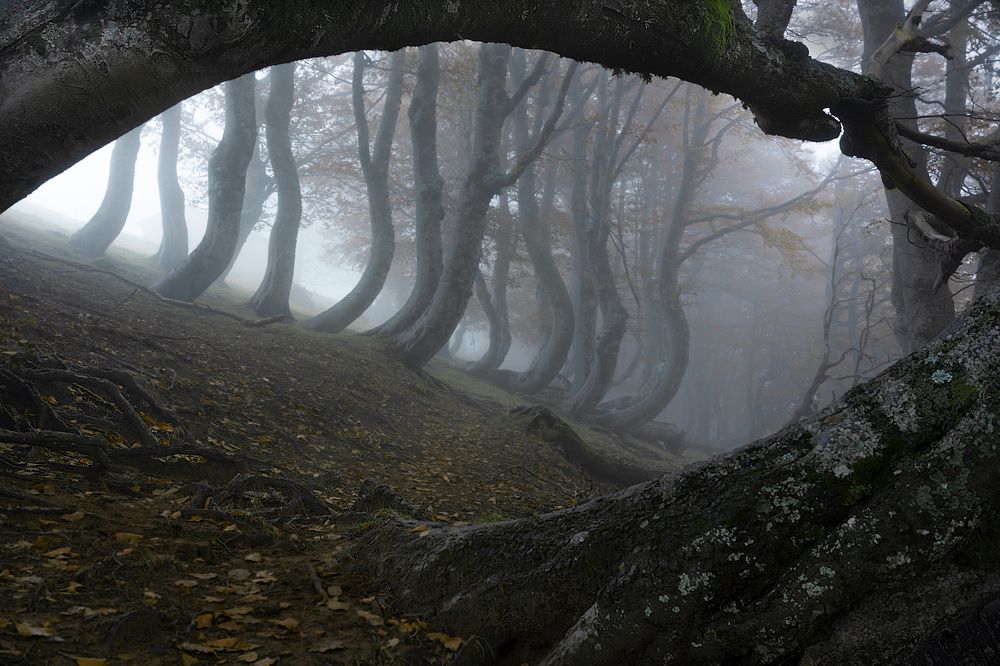 Photograph by Emiliano Raineri