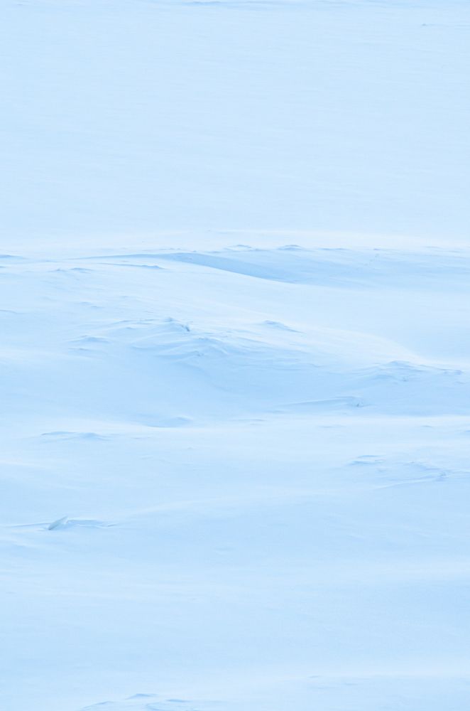 Photograph by Кирилл Савенко