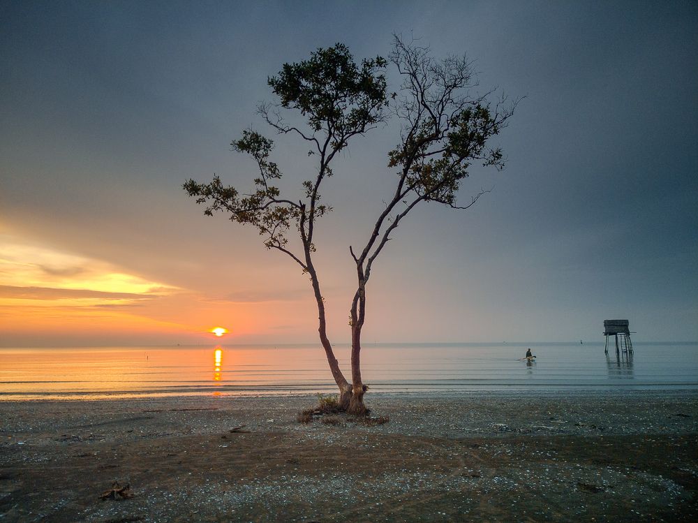 Photograph by Tran Minh Dung