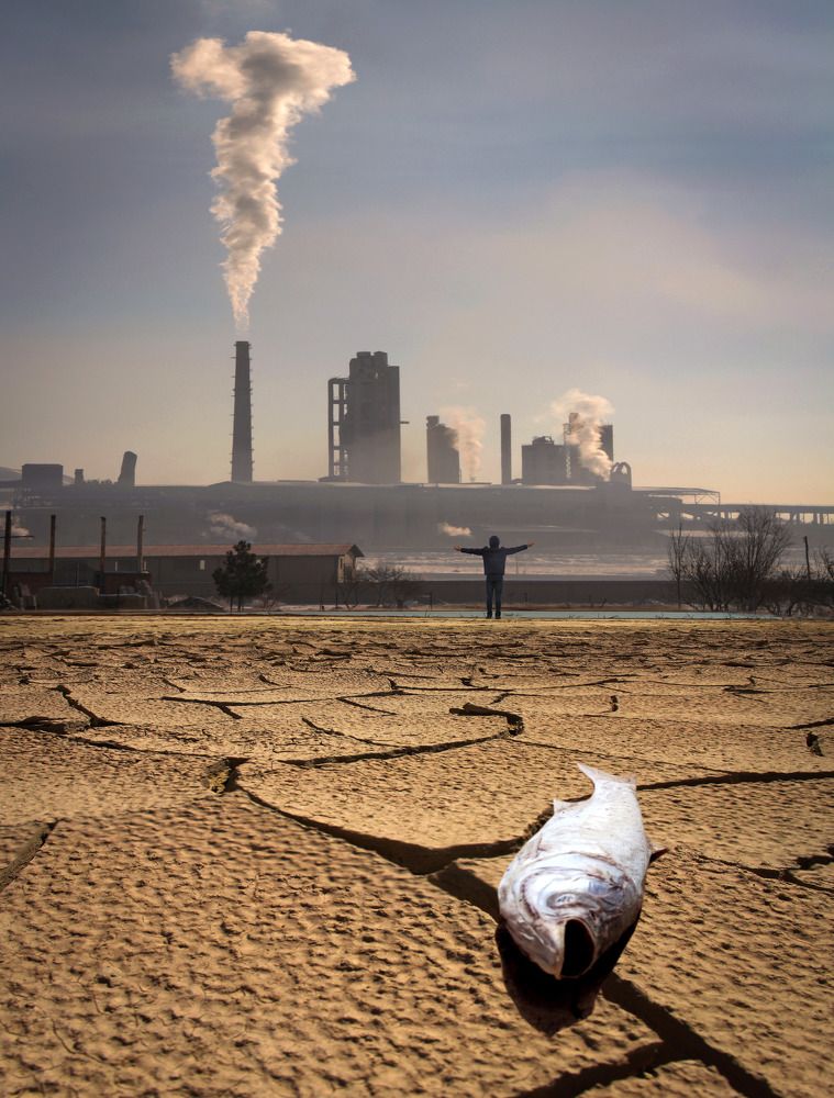 Фотография автора Davoodi Hosein