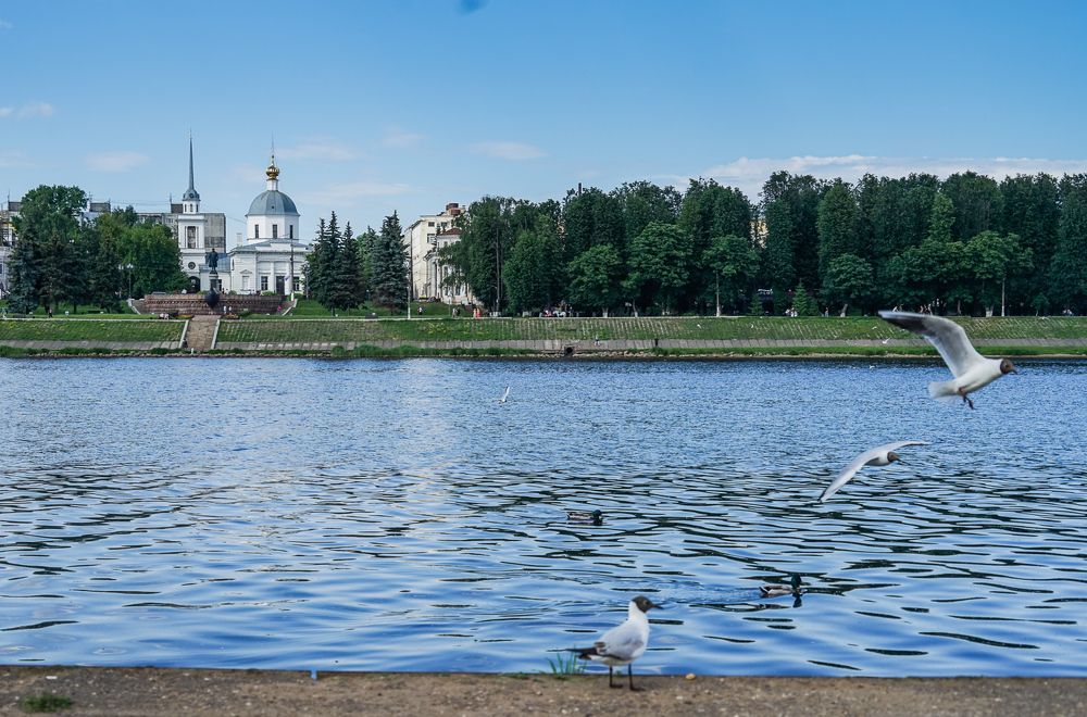 На Волжских берегах.